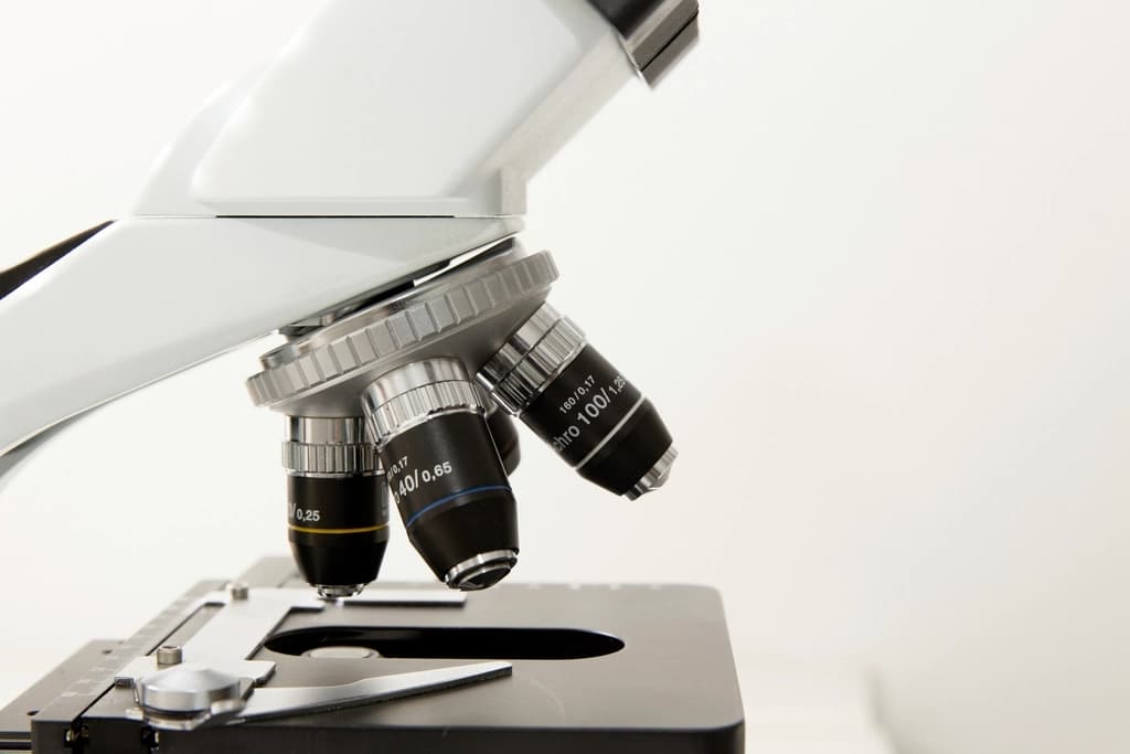 AI embryo grading explained: from Day 1 to the Day-5 blastocyst