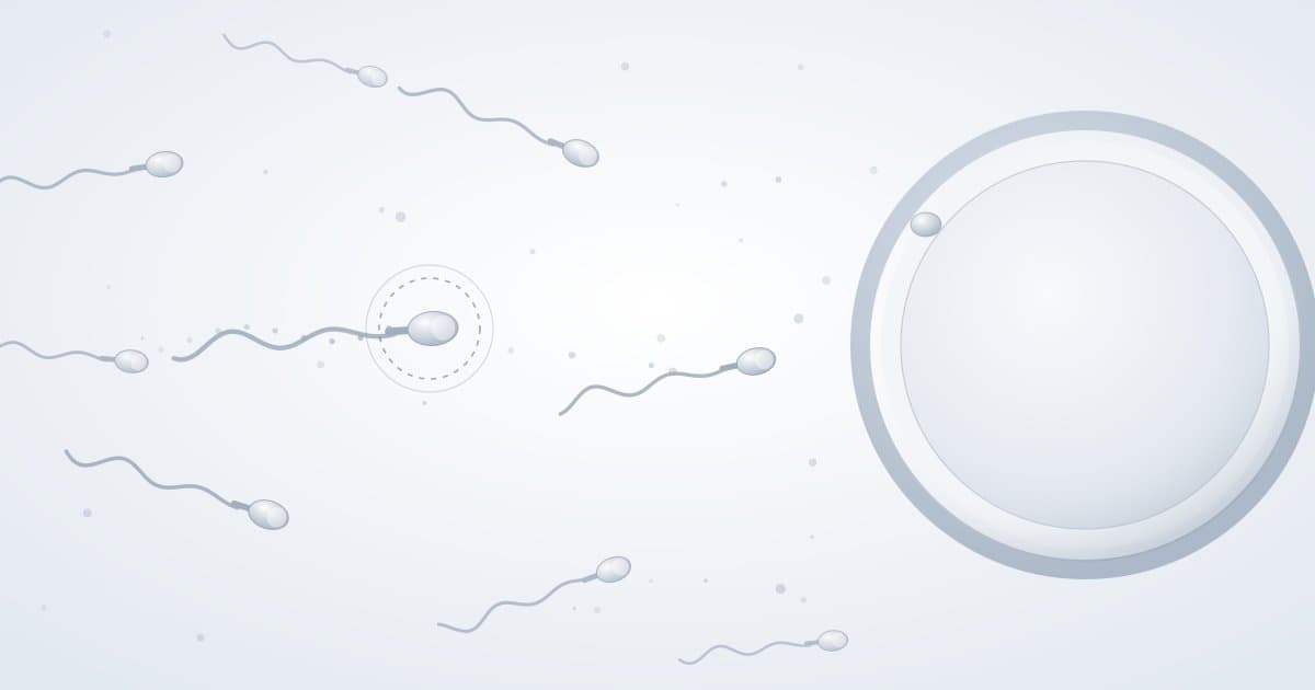How AI helps select sperm for ICSI — and what the evidence actually says