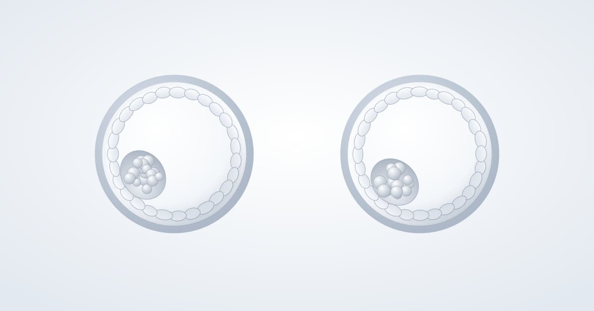 How consistent is embryo grading? What the research actually shows