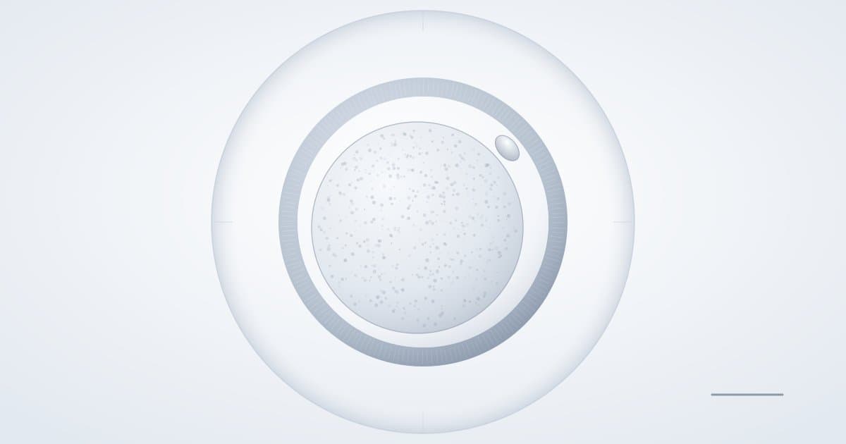 Oocyte quality: what can — and can't — be seen under the microscope